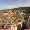09_55-nest.jpg