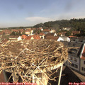 10_00-nest.jpg