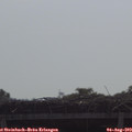 10_05-mast.jpg