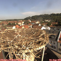 10_05-nest.jpg