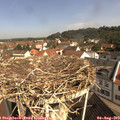 10_20-nest.jpg