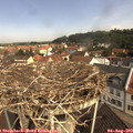 10_35-nest.jpg
