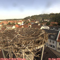 10_55-nest.jpg