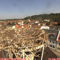 11_00-nest.jpg