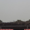 11_05-mast.jpg