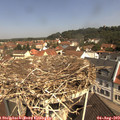 11_05-nest.jpg