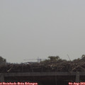 11_10-mast.jpg