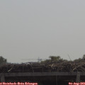 11_30-mast.jpg