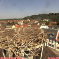 11_40-nest.jpg
