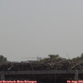 11_45-mast.jpg