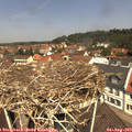 11_55-nest.jpg