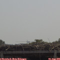 12_00-mast.jpg