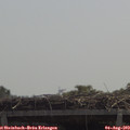 12_05-mast.jpg