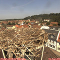 12_05-nest.jpg