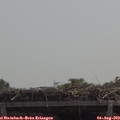 12_15-mast.jpg
