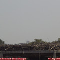 12_25-mast.jpg
