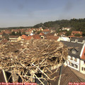 12_30-nest.jpg