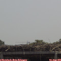 12_35-mast.jpg