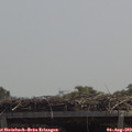 12_40-mast.jpg