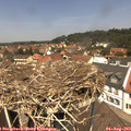 12_40-nest.jpg