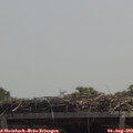 12_45-mast.jpg