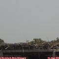 12_50-mast.jpg