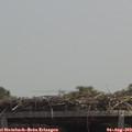 13_00-mast.jpg