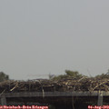 13_05-mast.jpg