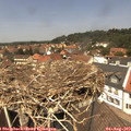 13_05-nest.jpg