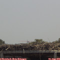 13_15-mast.jpg