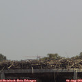 13_20-mast.jpg
