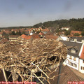 13_20-nest.jpg