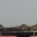 13_25-mast.jpg