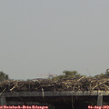 13_35-mast.jpg
