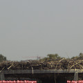 13_40-mast.jpg