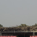 13_45-mast.jpg
