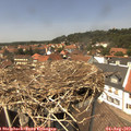 13_45-nest.jpg