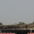 14_00-mast.jpg