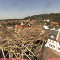 14_00-nest.jpg