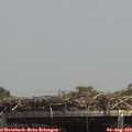 14_05-mast.jpg