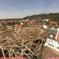 14_05-nest.jpg