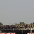 14_10-mast.jpg