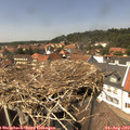 14_10-nest.jpg
