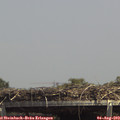 14_15-mast.jpg