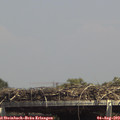 14_30-mast.jpg