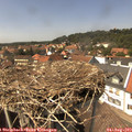 14_30-nest.jpg