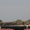 14_45-mast.jpg