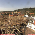15_00-nest.jpg