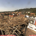 15_10-nest.jpg
