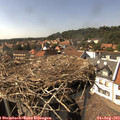 15_45-nest.jpg